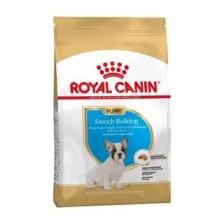 Royal Breed French Bulldog Junior