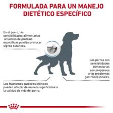 Royal Canin perro Hypoallergenic, 2 kg