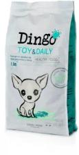 Dingo Dog Toy & Daily
